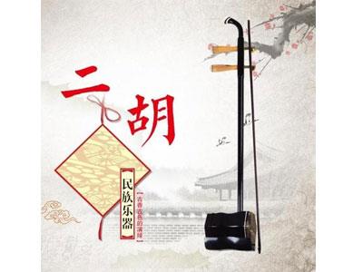 招聘玉溪二胡家教老师